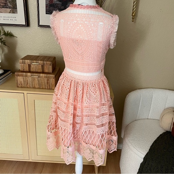 ALEXIS Sage A Line Blossom Blush Pink Dress Cutout Wedding Guest Size XS - Picture 5 of 13